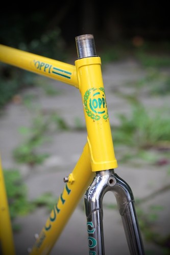 Telaio fausto coppi - telaio, polti