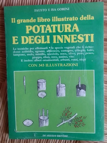 Grande libro illustrato - grande,