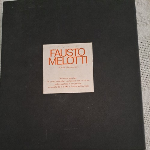 Libro artista fausto melotti - libro,